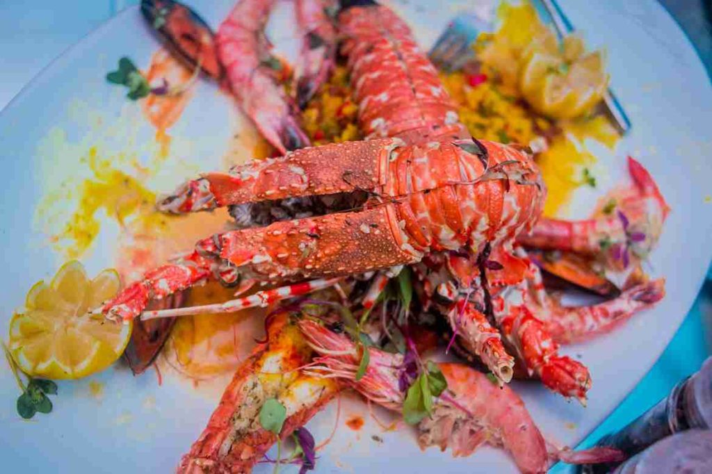 mediterranean food brooklyn