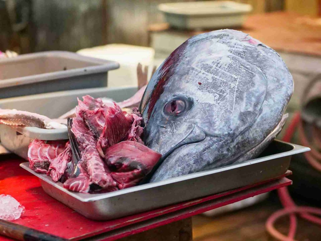 15 Best Mila Restaurant Miami Menu Items Worth Trying At Least Once