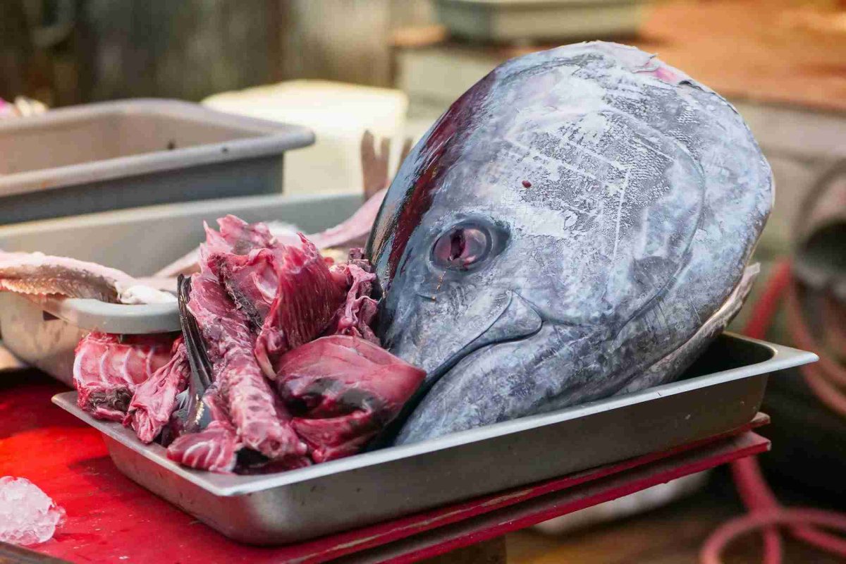 15 Best Mila Restaurant Miami Menu Items Worth Trying At Least Once